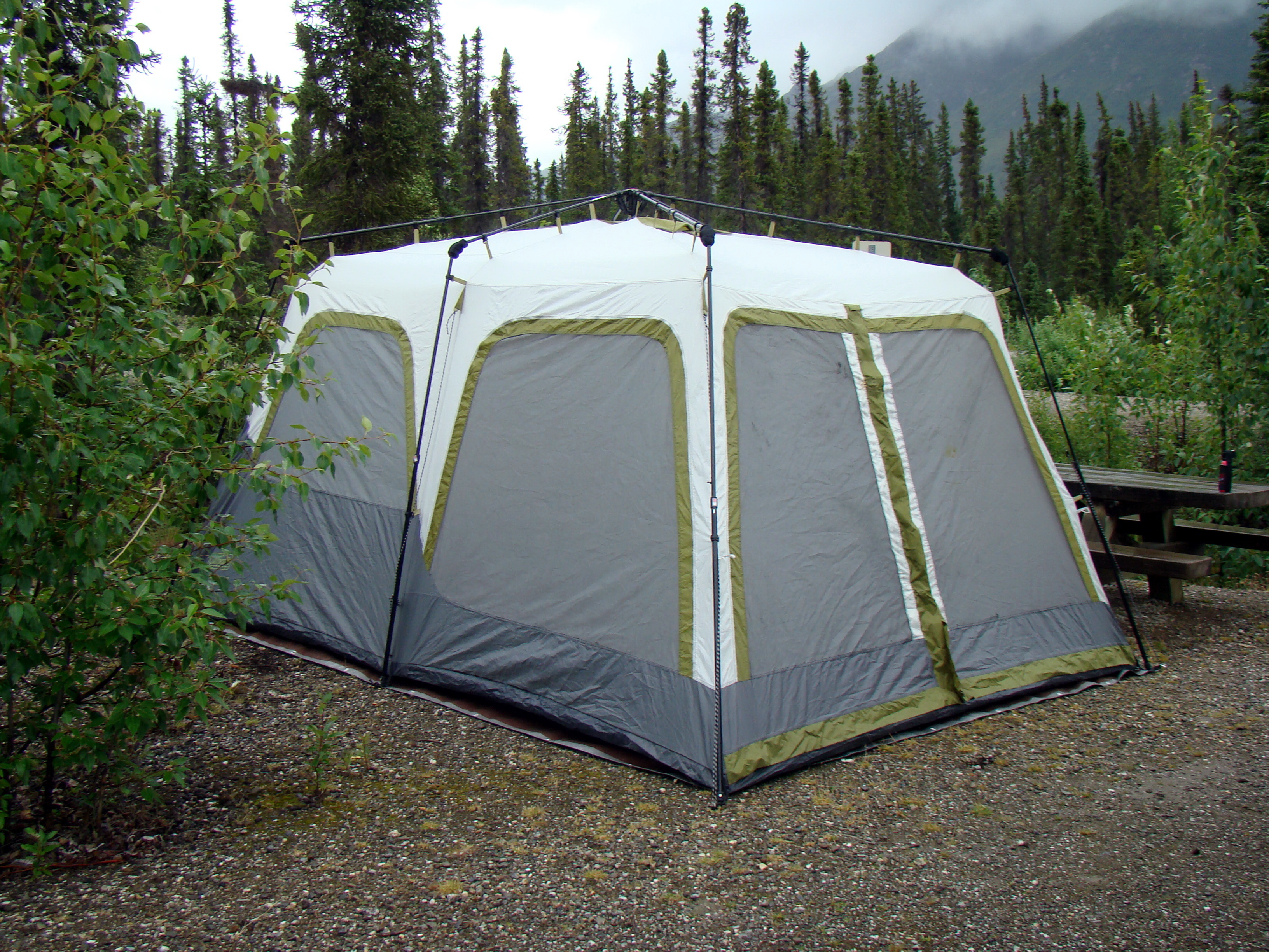 Coleman 8 Man Instant Tent.
